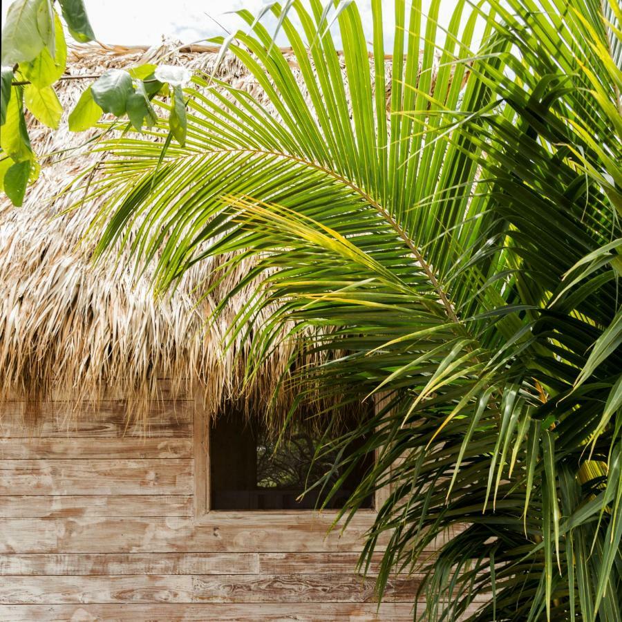 Suyo Cabanas Popoyo | Hotel Suyo El Limón 외부 사진